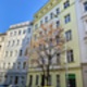 For sale flat, Bořivojova, Praha 3 Žižkov